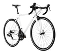 Golden Cycles Contender 14-Speed Road Bike